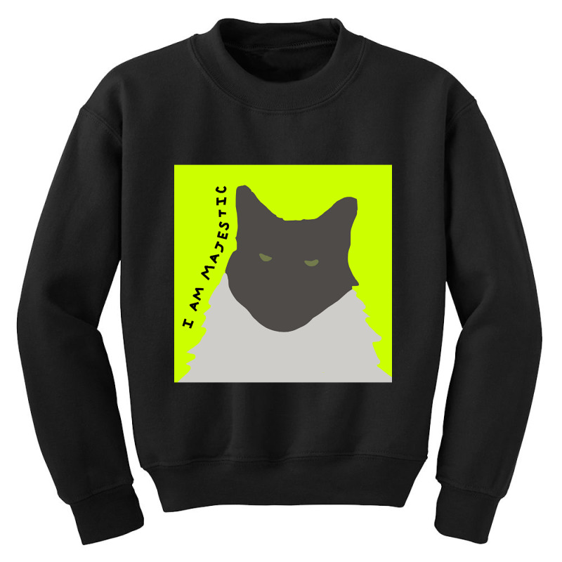 I Am Majestic Abstract Cat Youth Sweatshirt | Artistshot