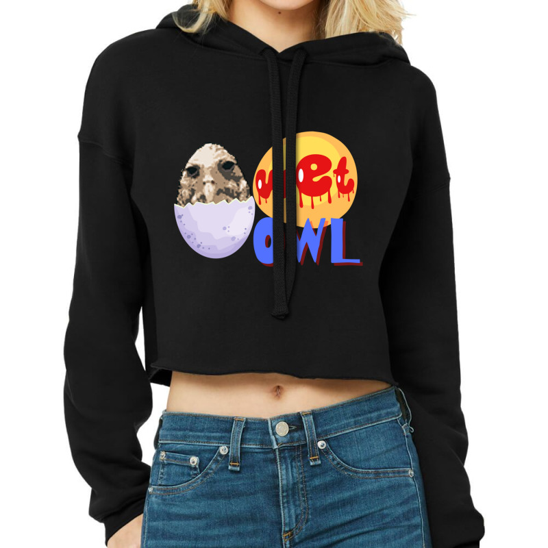 Wet Owl Meme Cropped Hoodie by CHRISTOPHERBARRERAS | Artistshot