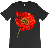 Red Poppy Flower, Red Botanical Poppies, Poppy T-shirt | Artistshot