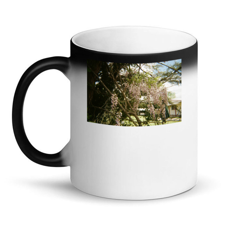 Granite Belt On 35mm Film 3 Magic Mug | Artistshot