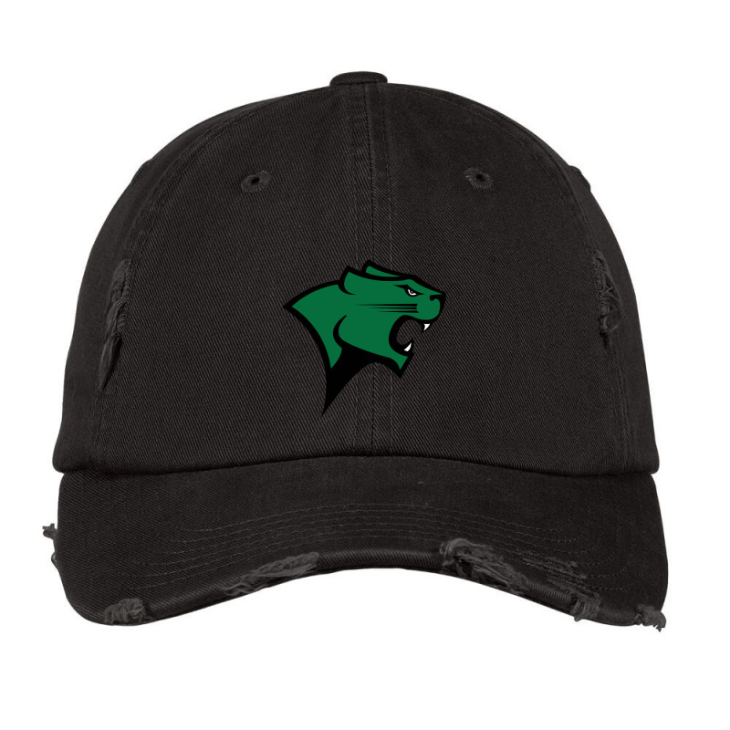 Chicago State Cougars Vintage Cap by mamahart | Artistshot