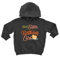 Big Sister Of The Birthday Girl Halloween Birthday Pumpkin Toddler Hoodie | Artistshot