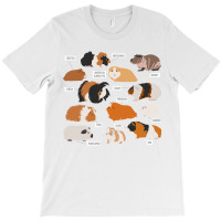 Guinea Pig Breeds   Costume Clothing Accessories T-shirt | Artistshot