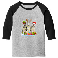 Cute Alaskan Malamute Santa Hat Youth 3/4 Sleeve | Artistshot