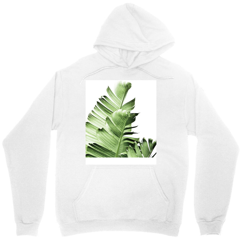 Banana Leaves2 Unisex Hoodie by sedegsuznikc | Artistshot