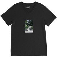 La Dolce Vita Marcello Mastroianni Silvia V-neck Tee | Artistshot