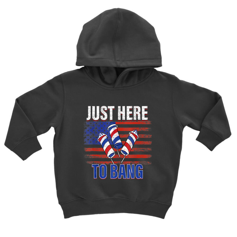 Hot Trend Just Here To Bang Fireworks Funny 4th Of July Toddler Hoodie by degreesgunner | Artistshot