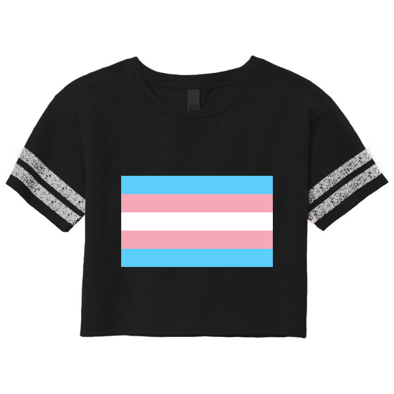 Hot Trend Trans Flag Scorecard Crop Tee by poppyallen | Artistshot