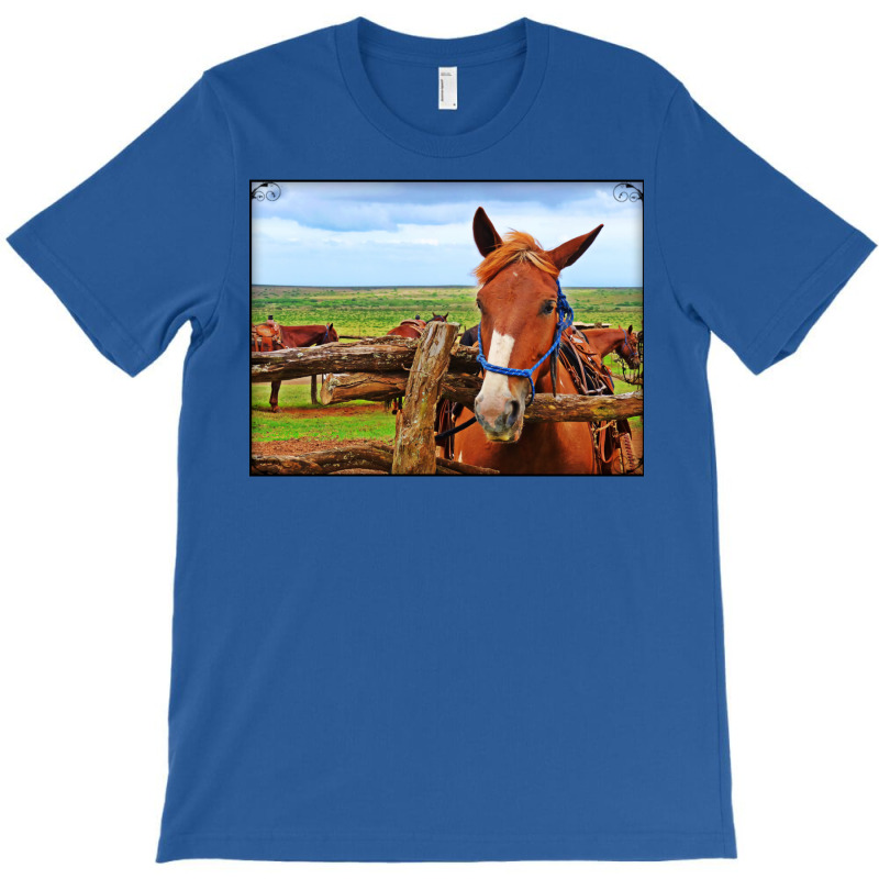 Horses In Maui Hawaii Classic Tshirt Red T-shirt | Artistshot