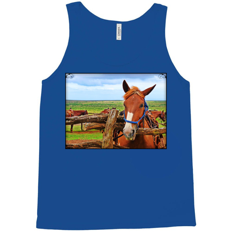 Horses In Maui Hawaii Classic Tshirt Red Tank Top | Artistshot