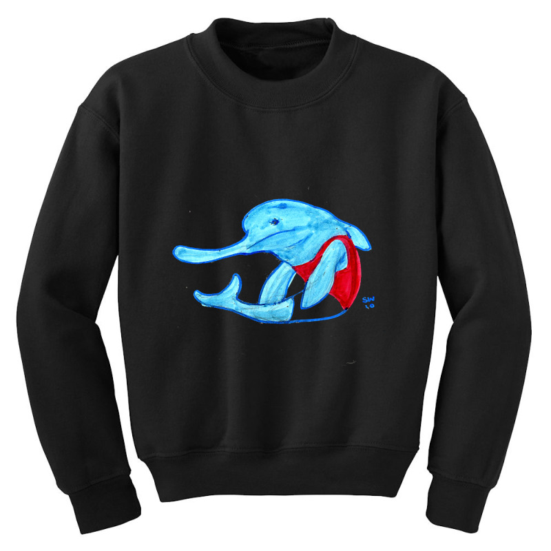 Hot Trend Long Nose Dolphin Youth Sweatshirt | Artistshot