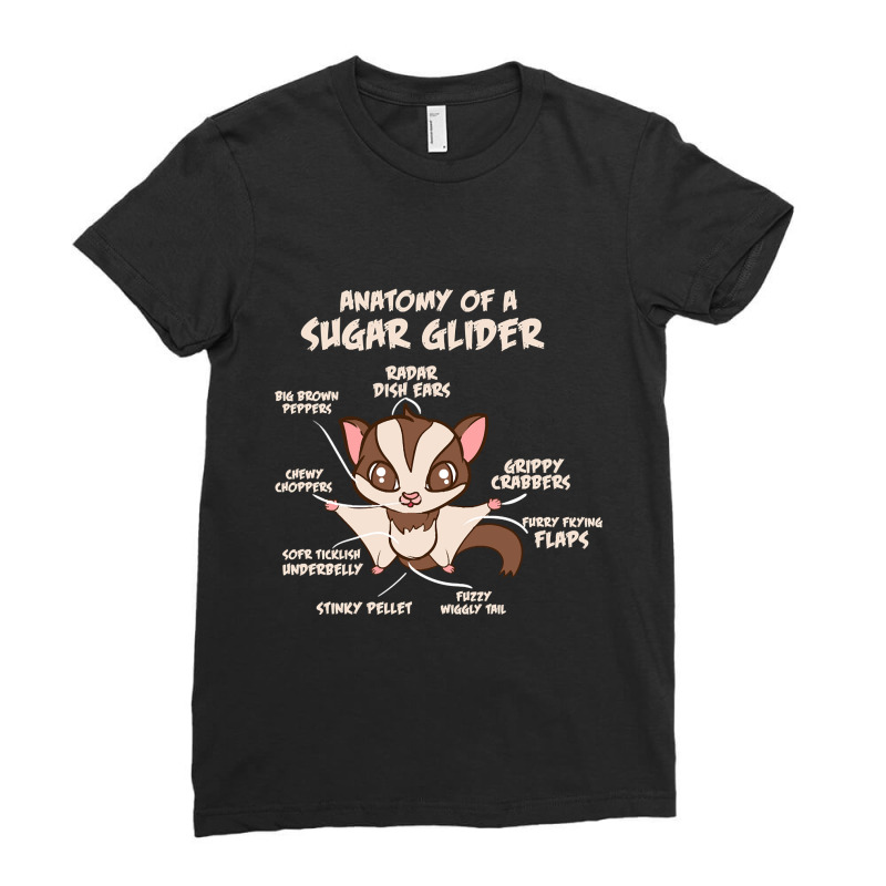 Trending Anatomy Of A Sugar Glider Possum Ladies Fitted T-Shirt by Box Bingham | Artistshot