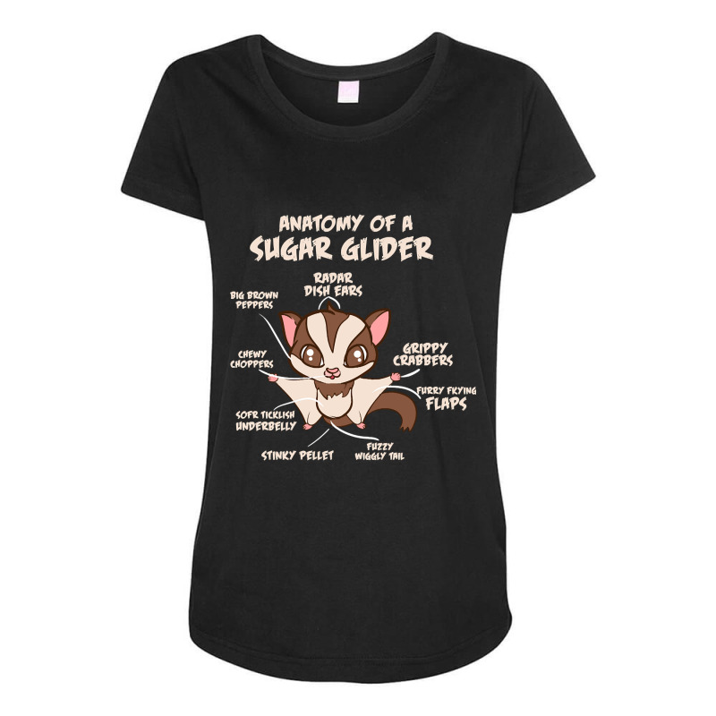 Trending Anatomy Of A Sugar Glider Possum Maternity Scoop Neck T-shirt by Box Bingham | Artistshot