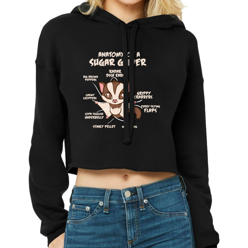 Trending Anatomy Of A Sugar Glider Possum Cropped Hoodie by Box Bingham | Artistshot