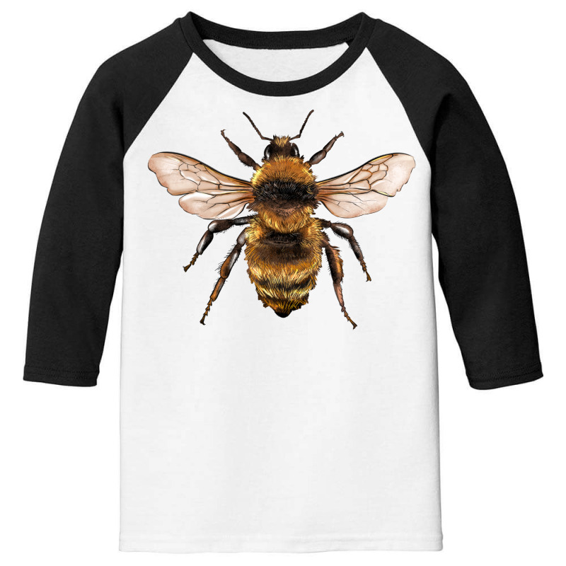 Bee Youth 3/4 Sleeve | Artistshot