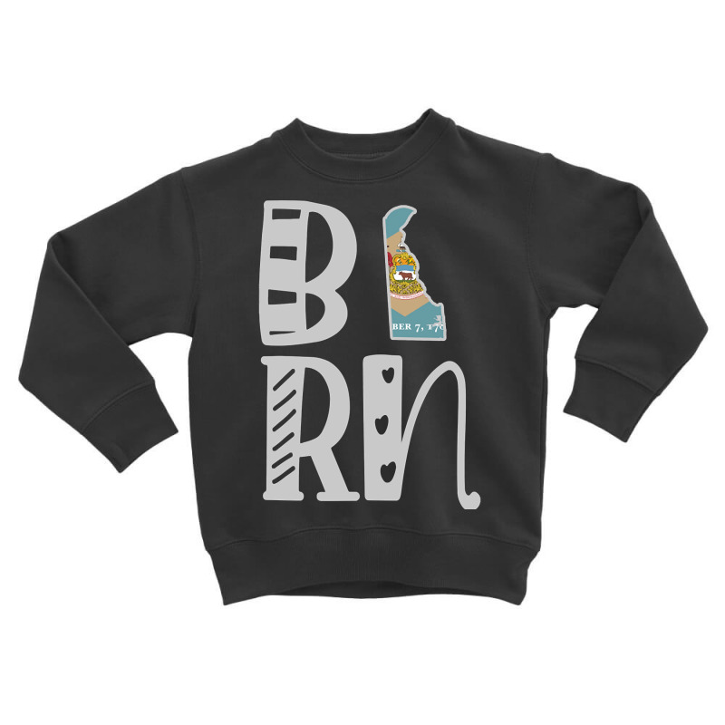 Limited Edition Born Delaware In Art Block Letters Toddler Sweatshirt | Artistshot