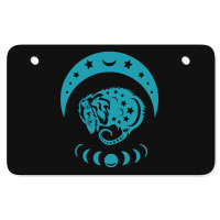 Hot Trend Teal And Pink Possum Atv License Plate | Artistshot