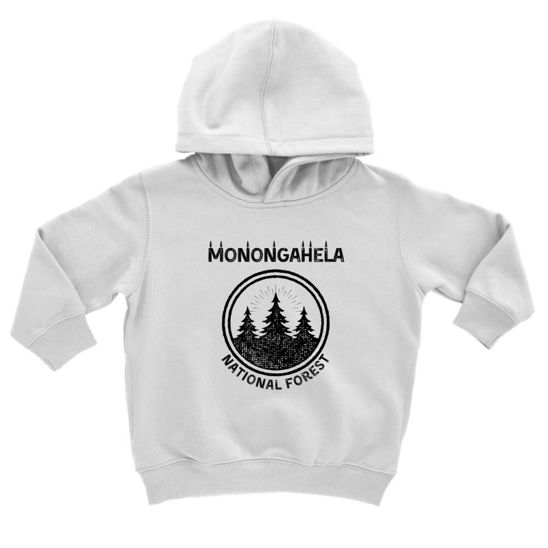 Monongahela National Forest Toddler Hoodie by mashaukronet | Artistshot