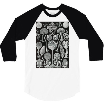Biology Mycetozoa Slime Molds Scientific Haeckel T Shirt 3/4 Sleeve Shirt Designed By Suarez