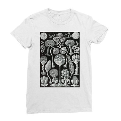 Biology Mycetozoa Slime Molds Scientific Haeckel T Shirt Ladies Fitted T-shirt Designed By Suarez