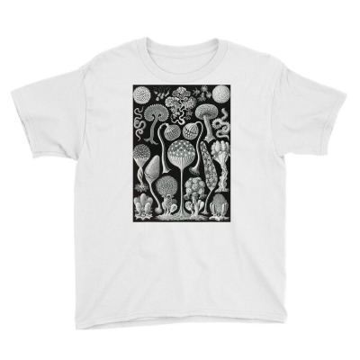 Biology Mycetozoa Slime Molds Scientific Haeckel T Shirt Youth Tee Designed By Suarez