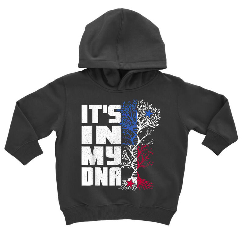 Its In My Dna Patriotic Apparel Panama Flag Proud Panamanian T Shirt Toddler Hoodie by tawny4okburd | Artistshot