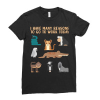 Hot Trend Zookeeper Zoo Keeper-7jblq Ladies Fitted T-shirt | Artistshot