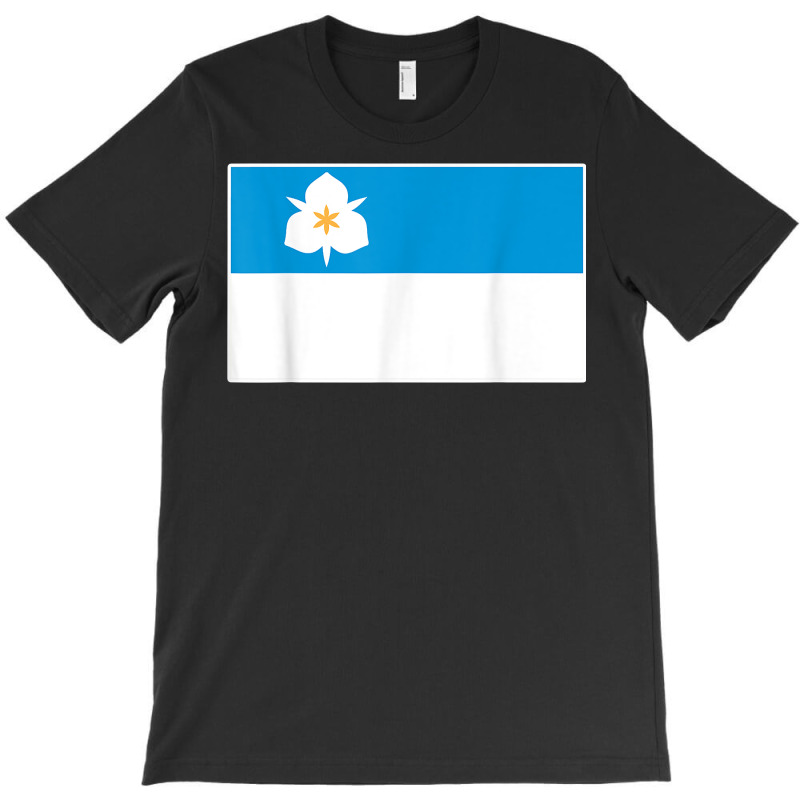 Salt Lake City Flag City Pride National Gift Souvenir T Shirt T-shirt | Artistshot