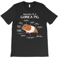 Anatomy Of A Guinea Pig Clothes Cavy Outfit Gift Guinea Pig T-shirt | Artistshot