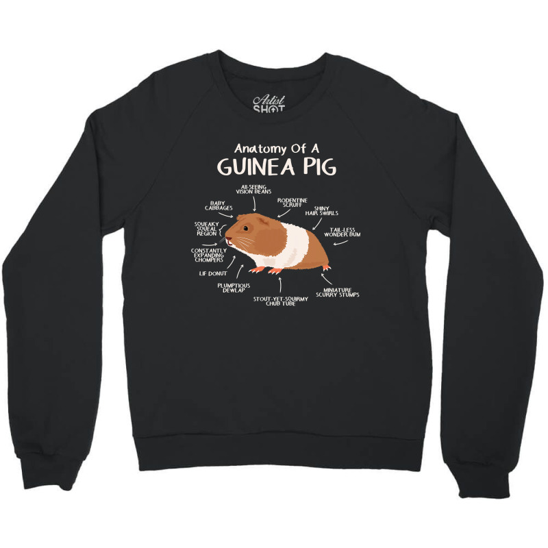 Anatomy Of A Guinea Pig Clothes Cavy Outfit Gift Guinea Pig Crewneck Sweatshirt | Artistshot