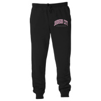 Johnson City Tennessee Tn Varsity Style Pink Text Premium Unisex Jogger | Artistshot