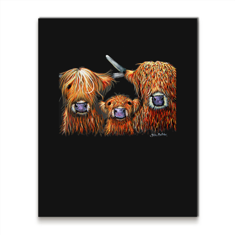 Cow Print Scottish Highland  We 3 Coos On Grey  By Shirley Macarthur B Metal Print Vertical | Artistshot