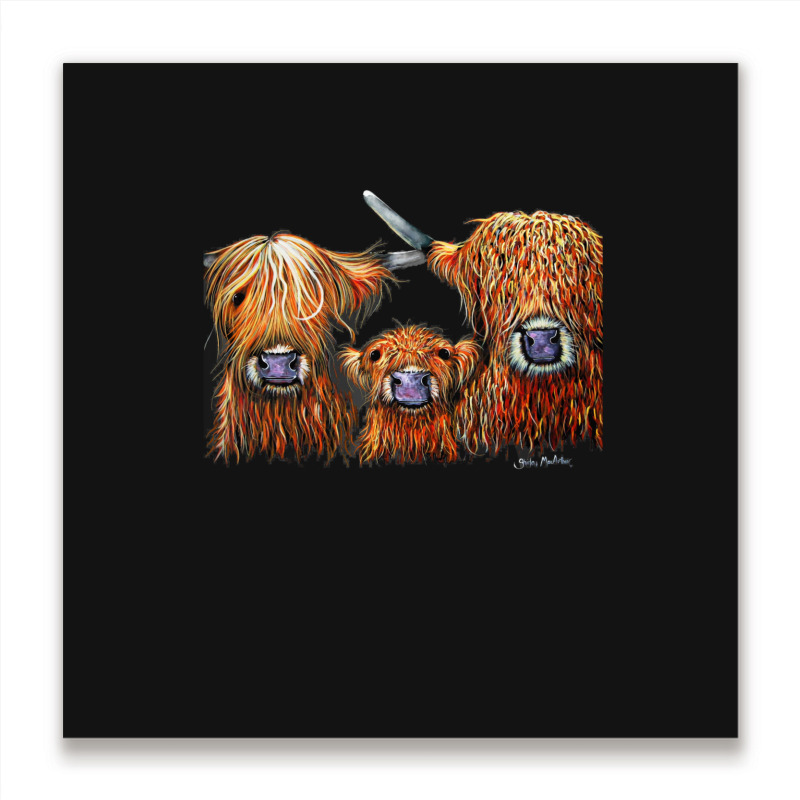 Cow Print Scottish Highland  We 3 Coos On Grey  By Shirley Macarthur B Metal Print Square | Artistshot