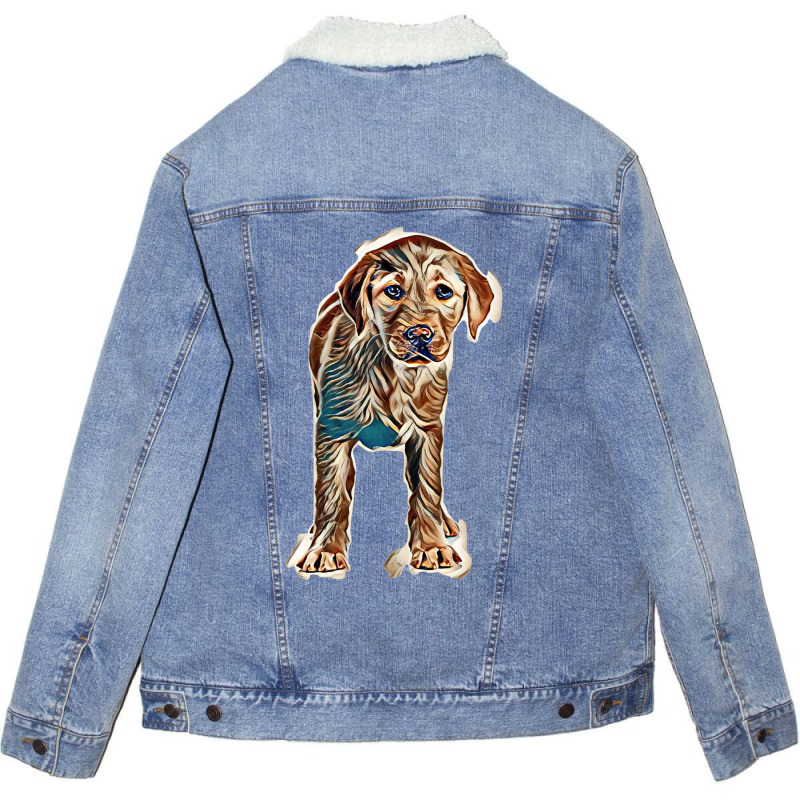 Labrador Puppy Isolated On White Background Unisex Sherpa-Lined Denim Jacket by Kemnabi | Artistshot