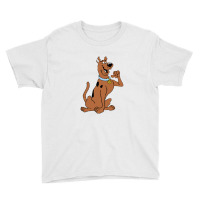 Scooby Cartoon Youth Tee | Artistshot