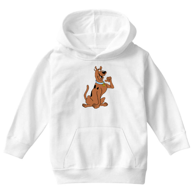 Scooby Cartoon Youth Hoodie by devinmathis | Artistshot