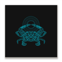 Crustacean Groove Metal Print Square | Artistshot