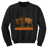 Limited Edition Custer State Park Vintage Buffalo Souvenir Youth Sweatshirt | Artistshot