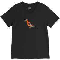 The Jay Is The Most Colorful Of The Corvids Its Iridescent Blue Feathe V-neck Tee | Artistshot