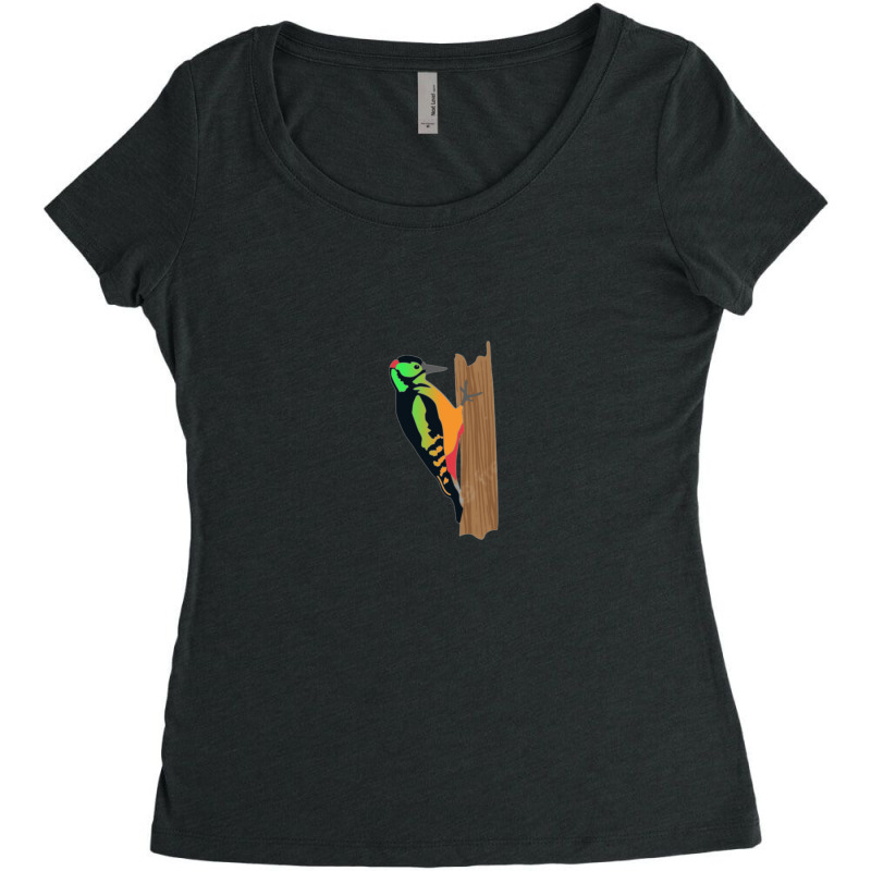 Orange Woodpecker 1 Women's Triblend Scoop T-shirt by StarActon | Artistshot