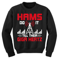 Hams Do It Till Their Giga Hertz Amateur Radio T Shirt Youth Sweatshirt | Artistshot