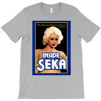 Inside Seka  T Tumblr T-shirt | Artistshot