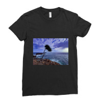 A Palm Tree On Rock Plateau With A Rock Island In The Sea Ladies Fitted T-shirt | Artistshot