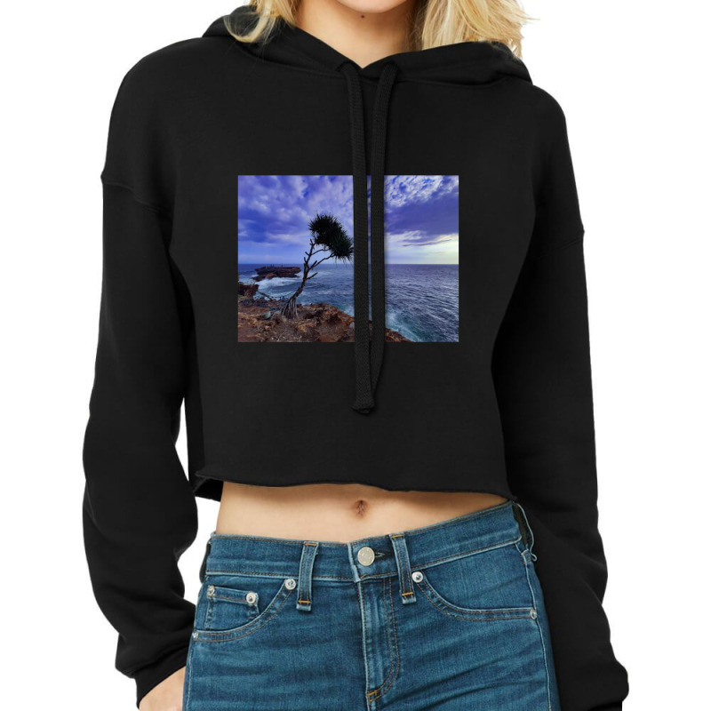 A Palm Tree On Rock Plateau With A Rock Island In The Sea Cropped Hoodie by ArlenMadera | Artistshot