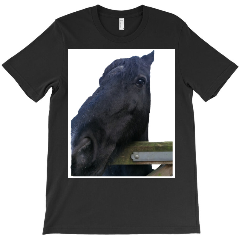 My Lovely Horse Long Poster Funny (1) T-shirt | Artistshot