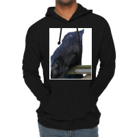 My Lovely Horse Long Poster Funny (1) Lightweight Hoodie | Artistshot