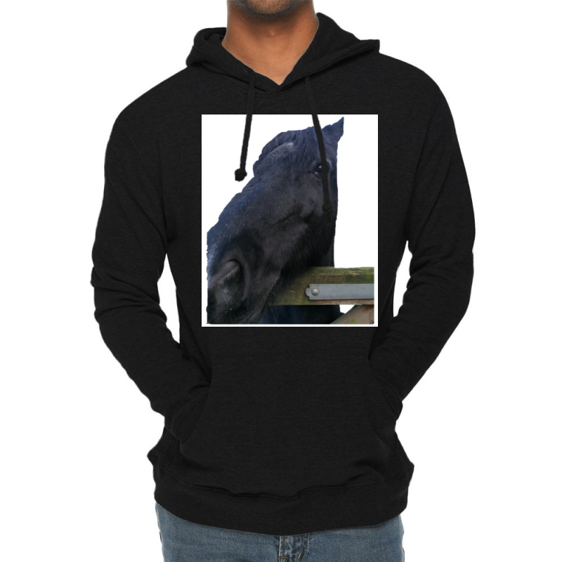 My Lovely Horse Long Poster Funny (1) Lightweight Hoodie | Artistshot