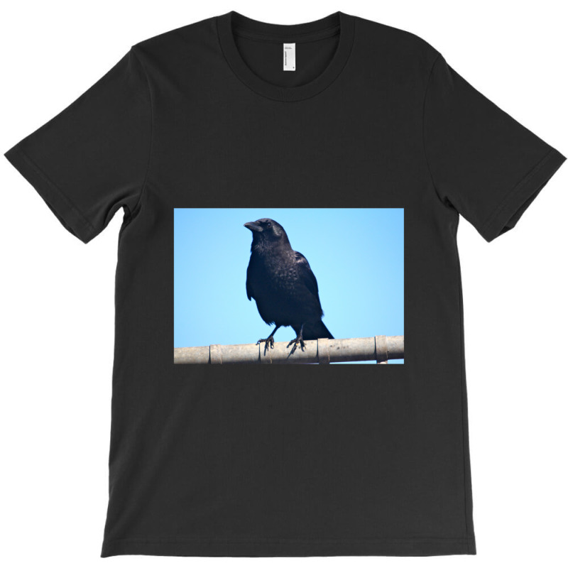 Curiosity And The Crow T-shirt | Artistshot