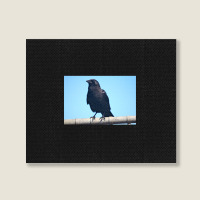 Curiosity And The Crow Landscape Canvas Print | Artistshot