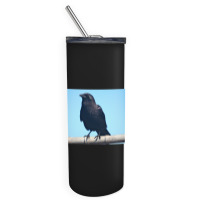 Curiosity And The Crow Skinny Tumbler | Artistshot